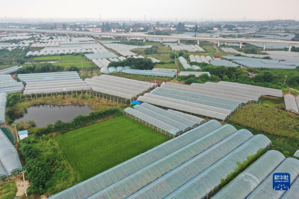 凤凰平台注册码
